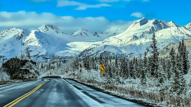 Why Luxury Alaska Vacation Packages Are Perfect for Modern Families